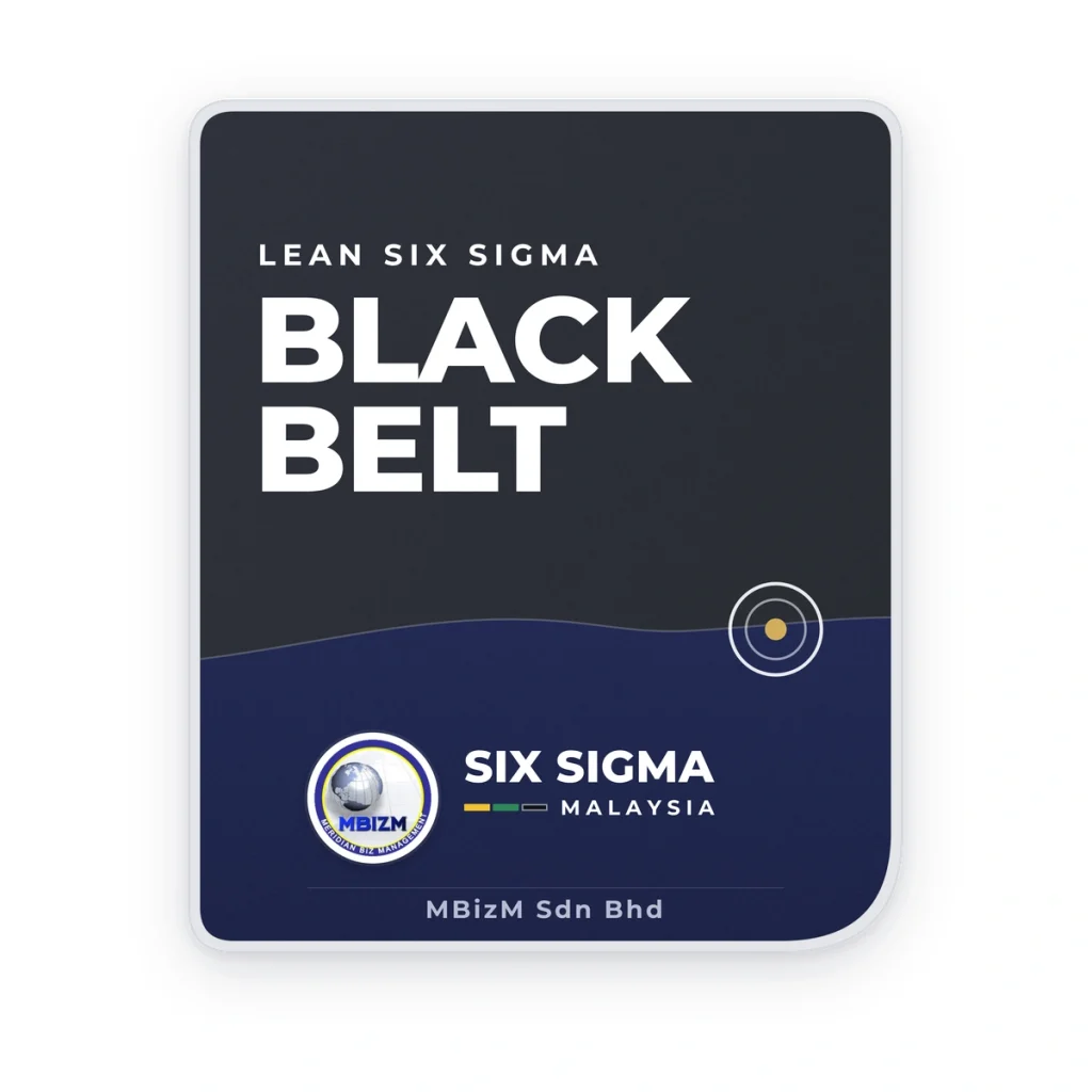 Lean Six Sigma Black Belt