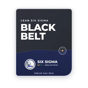 Lean Six Sigma Black Belt badge