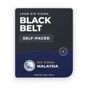 Lean Six Sigma Black Belt Online Training + Certification - MBizM Six Sigma Malaysia