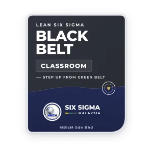 Lean Six Sigma Step Up to Black Belt Training - MBizM Six Sigma Malaysia